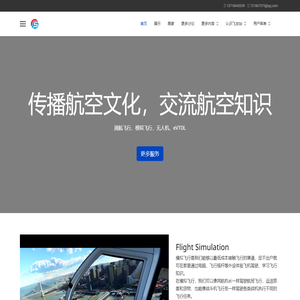 模拟飞行