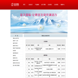 金天国际