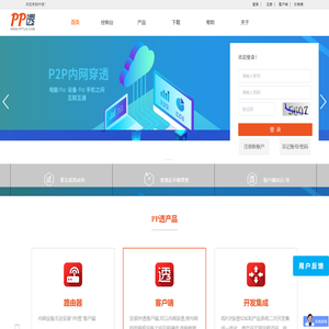 PP透
