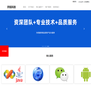 软件开发
