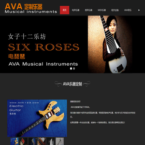 AVA定制乐器(厂家)