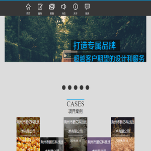 荆州市鹏亿科技技术有限公司