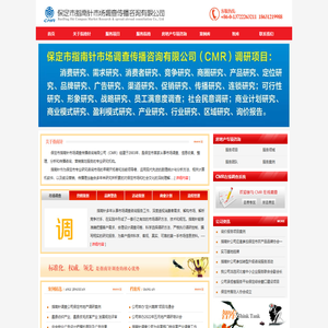 河北保定市场调查公司
