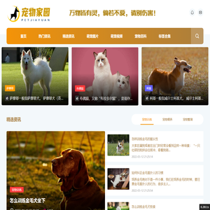 宠物家园