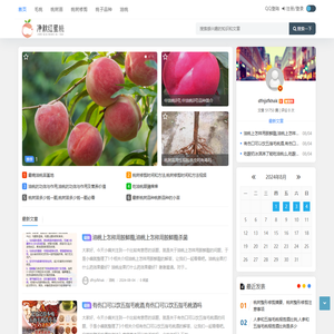 临朐元宝净秋红蜜桃