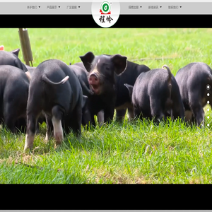 程岭黑山猪