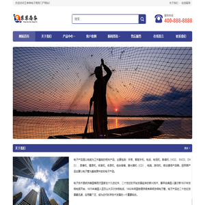 王单单电子商务门户网站