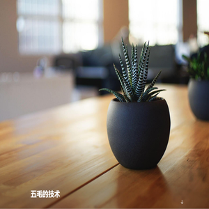 五毛的技术