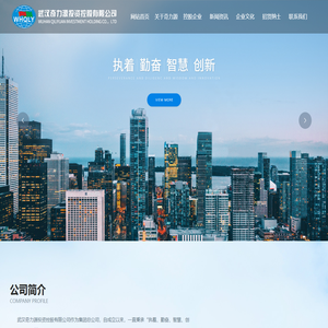 武汉奇力源投资控股有限公司