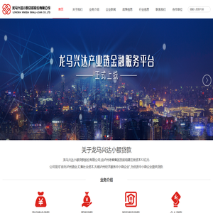 龙马兴达小额贷款股份有限公司