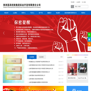 陕药实业