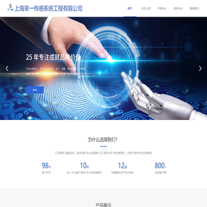 上海束一传感系统工程有限公司