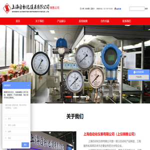 不锈钢隔膜压力表