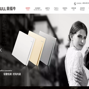 奥福牛电气,深圳奥福牛电气有限公司