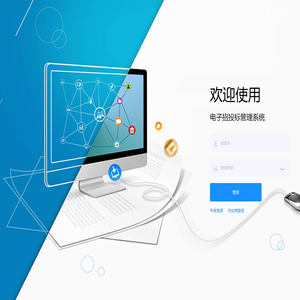 电子招投标管理系统