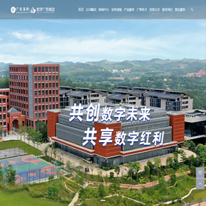 数字广西集团有限公司