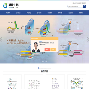 亚克隆,RNAi干扰检测,miRNA定量检测