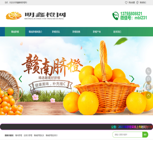 江西赣南脐橙批发价格