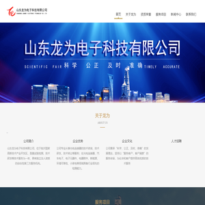 山东龙为电子科技有限公司