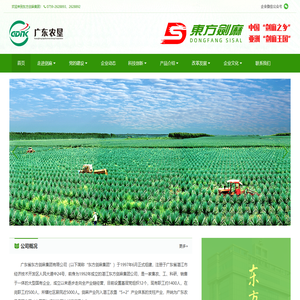 广东省东方剑麻集团有限公司