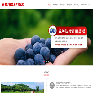 丹东华彩苗木有限公司