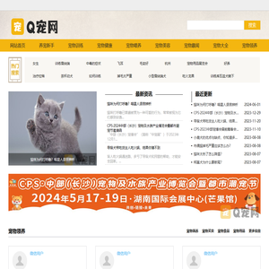 Q宠网
