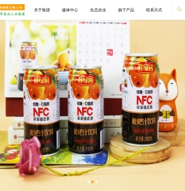 深圳振鹏达实业集团有限公司