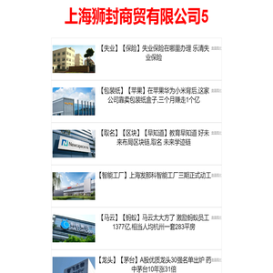 上海狮封商贸有限公司5