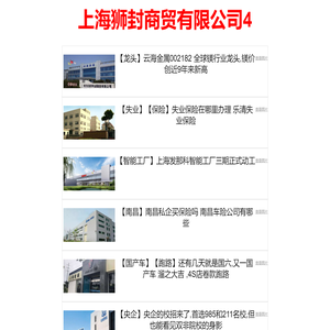 上海狮封商贸有限公司4