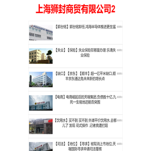 上海狮封商贸有限公司2