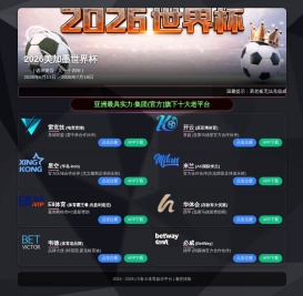 荆州市鸿亿优科技技术有限公司