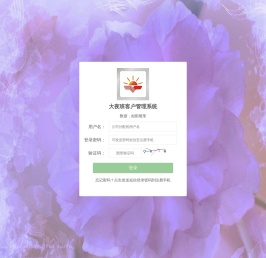 大夜班客户管理系统