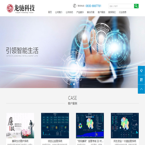 泸州市龙马潭区龙驰科技有限公司