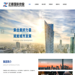 正顺控股集团（海南）有限公司