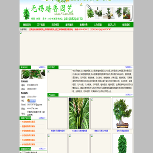 无锡专业植物租赁
