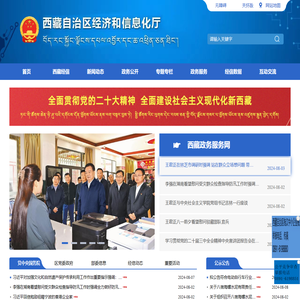 西藏自治区经济和信息化厅