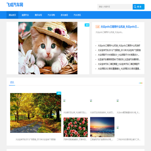 飞成汽车网