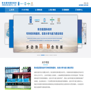 联合国/国际组织