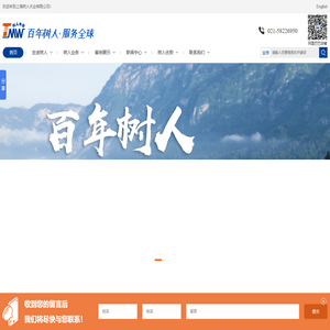 实木托盘