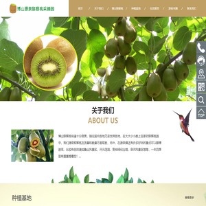 博山猕猴桃,源泉猕猴桃,博山猕猴桃采摘节