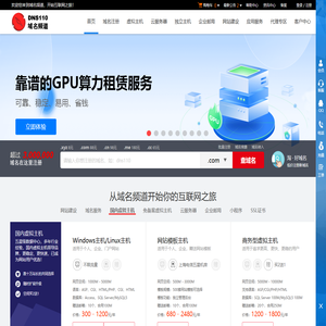 DNS110域名频道