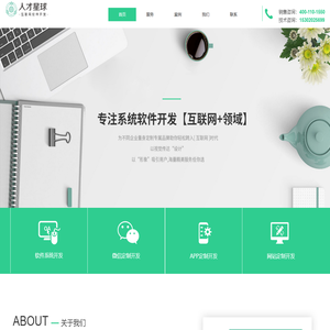 天津软件开发