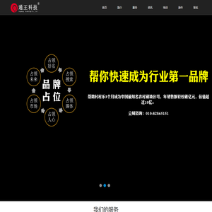 SEO·品牌推广·网络营销策划·王通