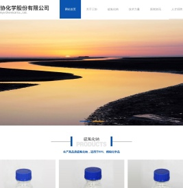 东营三协化学公司