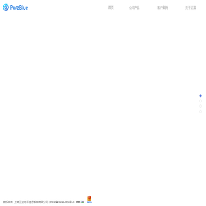 上海正蓝电子信息系统有限公司