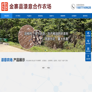 油桐籽桐油生产供应批发厂家