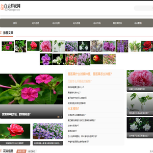 白云鲜花网