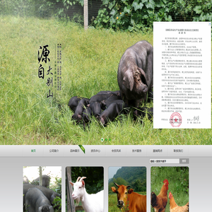 金寨县鑫家寨生态农业开发有限公司