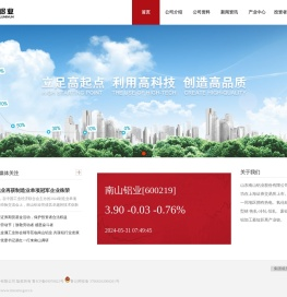 山东南山铝业股份有限公司