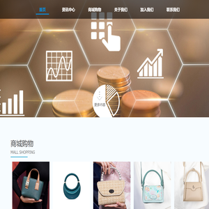 海南大丁网络科技有限公司